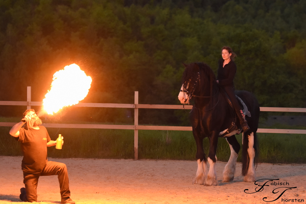 Bickers Court Oscar, Showkurs 2018